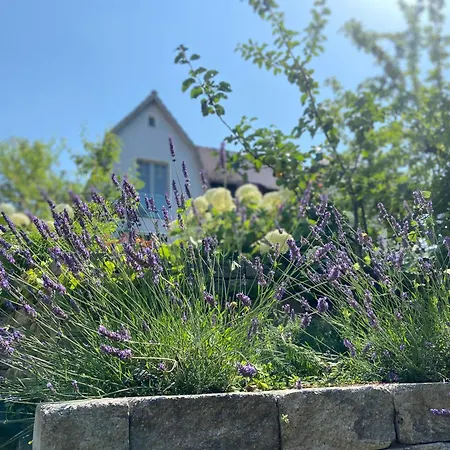 Romantik Idyll Am Tiefental