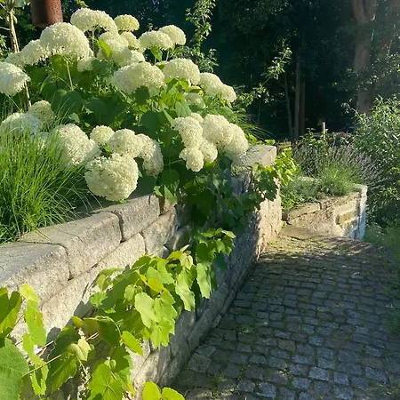 Romantik Idyll Am Tiefental Дом отдыха Konigsbruck